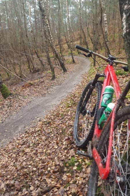 Dave hits the trail in the woods